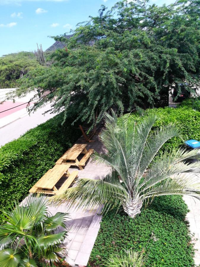 Agua Clara Eco Suites اورانجستاد المظهر الخارجي الصورة