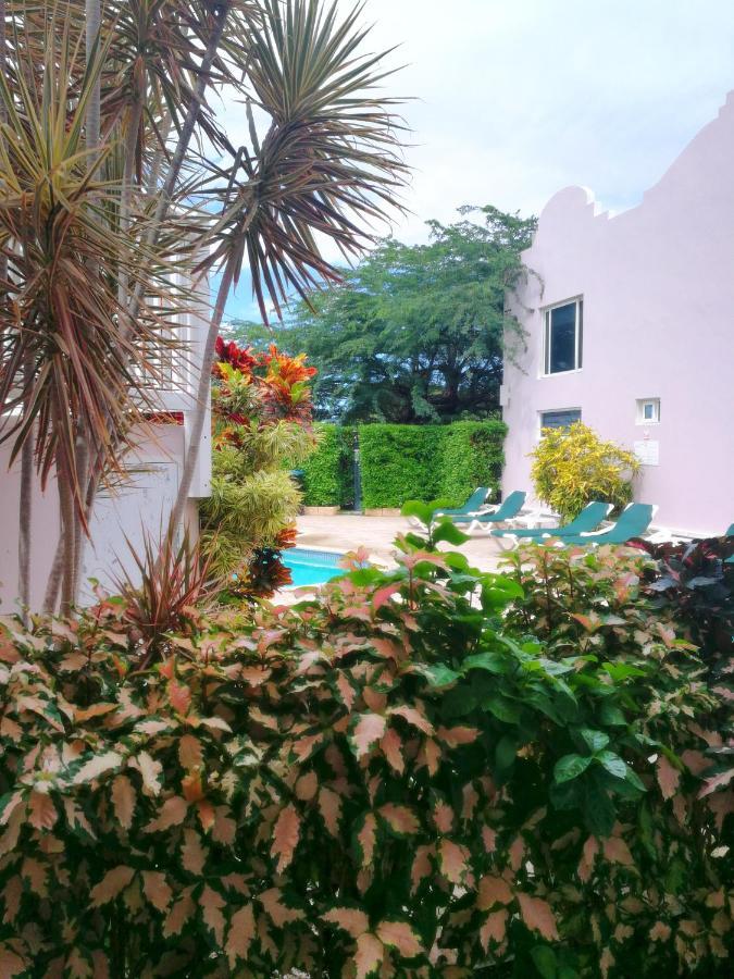 Agua Clara Eco Suites اورانجستاد المظهر الخارجي الصورة